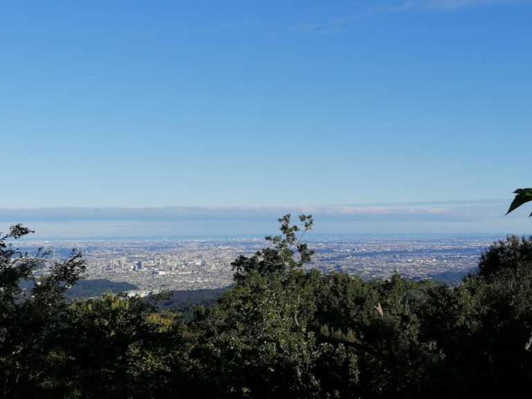 A view from the top of Mt Takao.