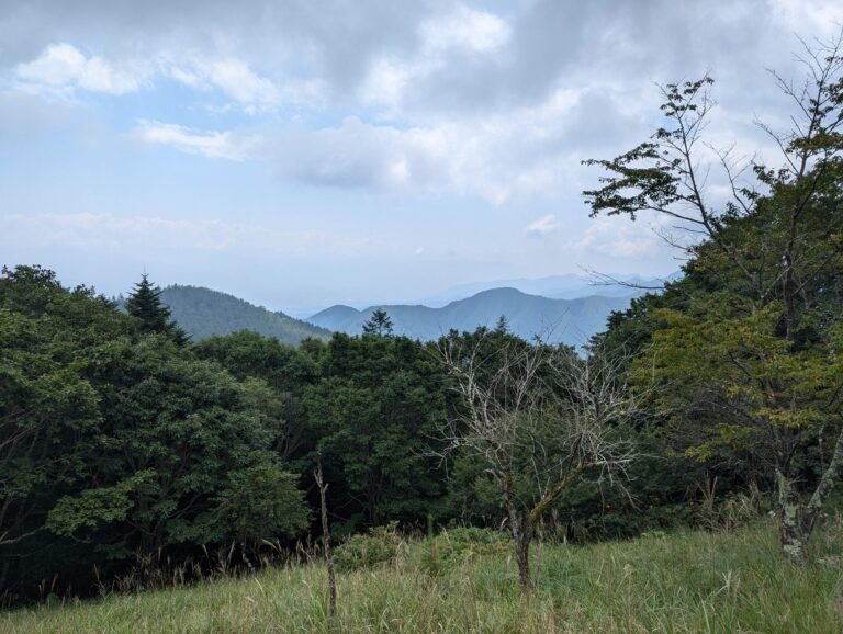 A view from the Mt Kentoku trail.