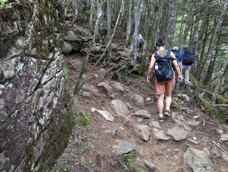 The path on Mt Kentoku.