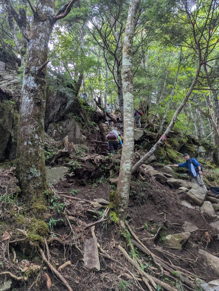 A climbing section of Mt Kentoku.