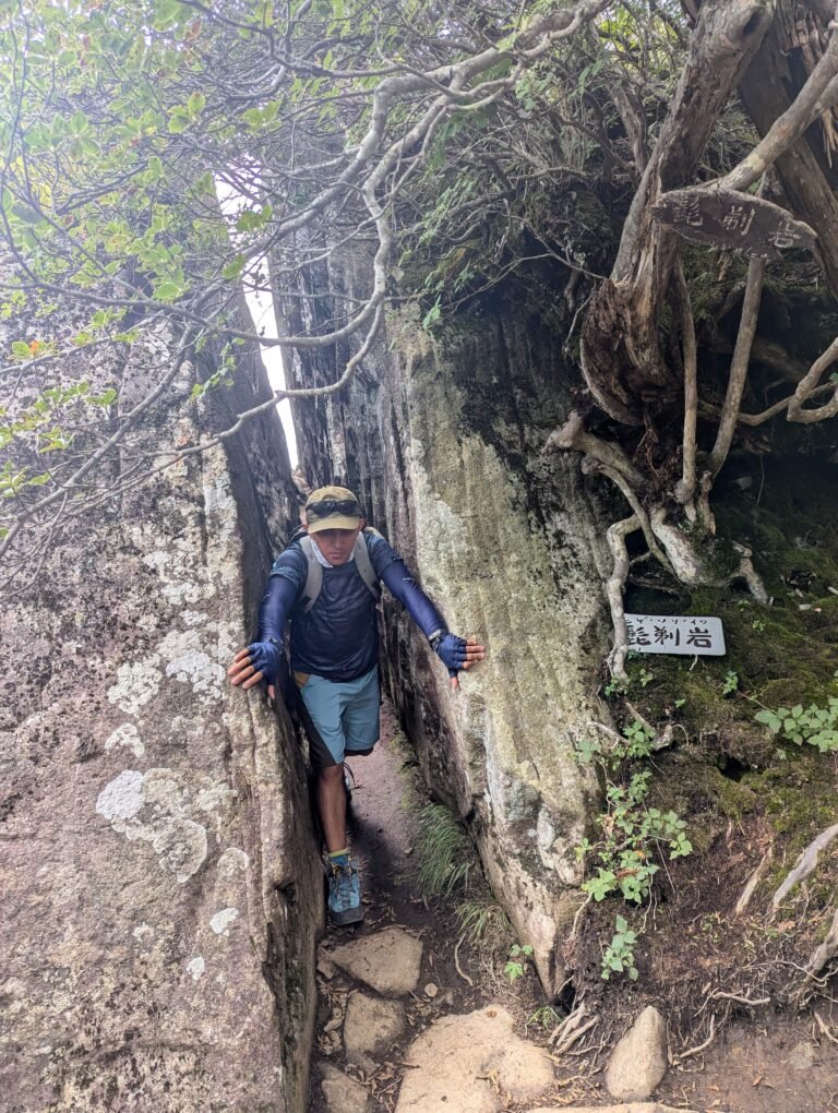 A rock fissure.